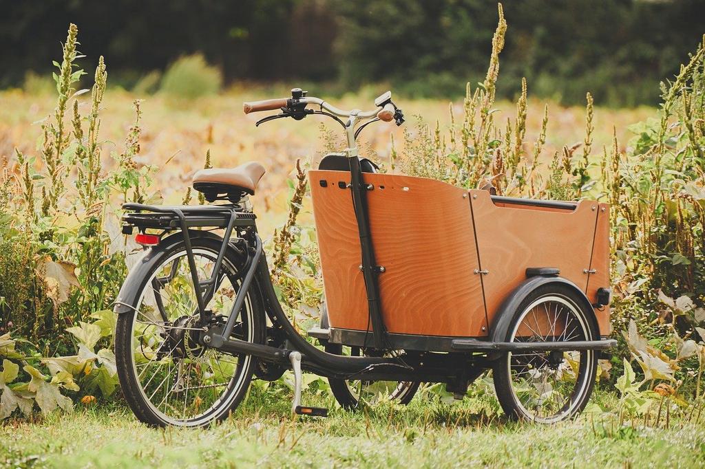 Sustainable Electric Vehicle